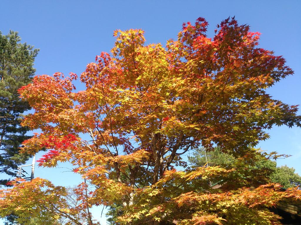 Runesu Karuizawa Kita-karuisawa Exterior foto